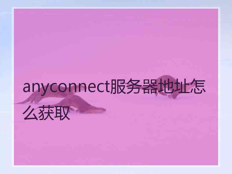 anyconnect服务器地址怎么获取