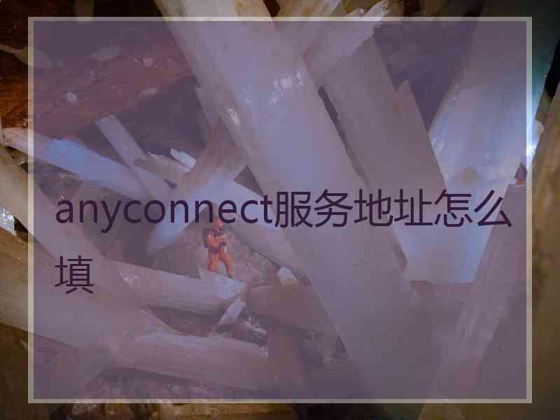 anyconnect服务地址怎么填