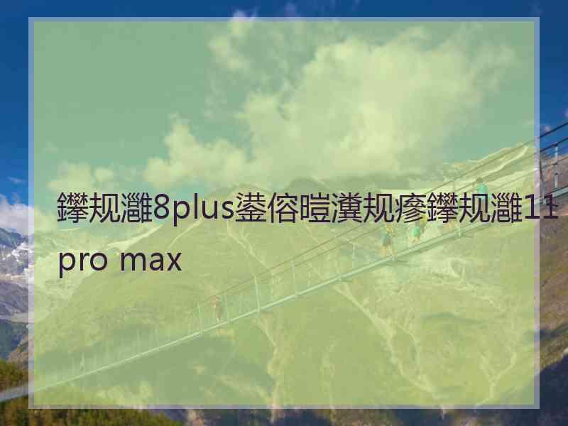 鑻规灉8plus鍙傛暟瀵规瘮鑻规灉11pro max