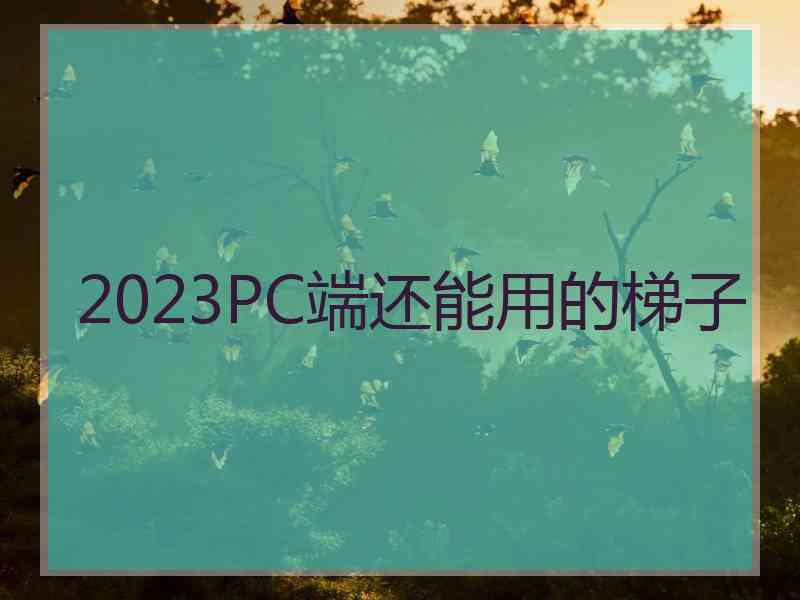 2023PC端还能用的梯子