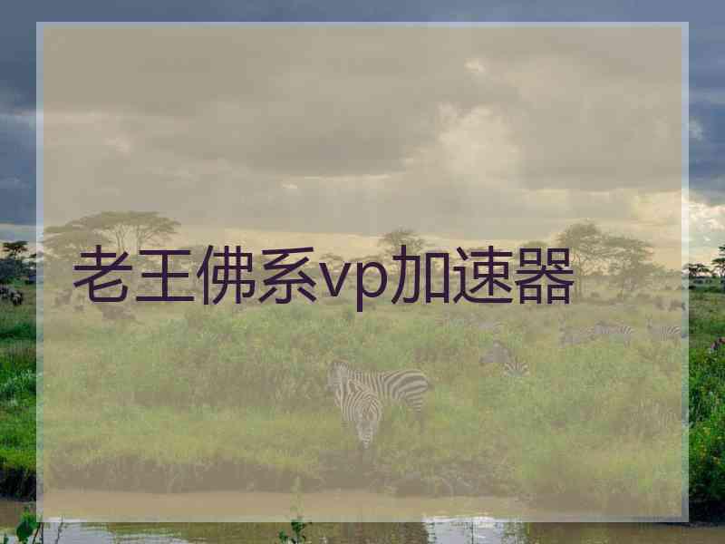 老王佛系vp加速器