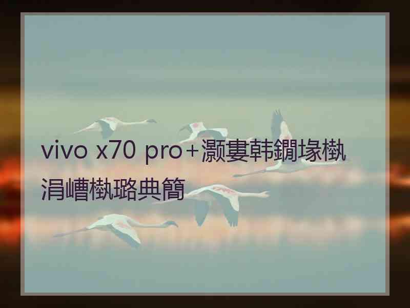 vivo x70 pro+灏婁韩鐗堟槸涓嶆槸璐典簡