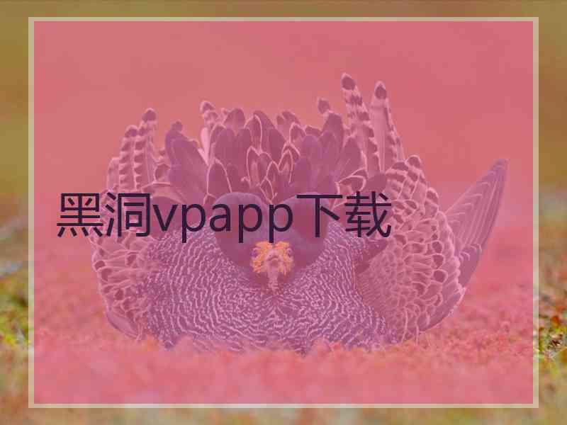 黑洞vpapp下载