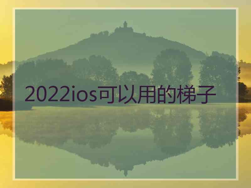 2022ios可以用的梯子