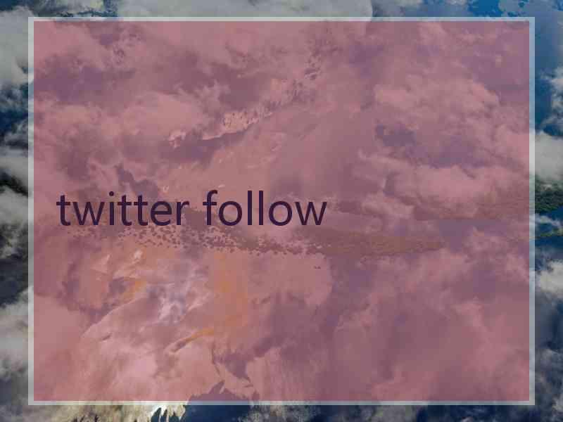 twitter follow