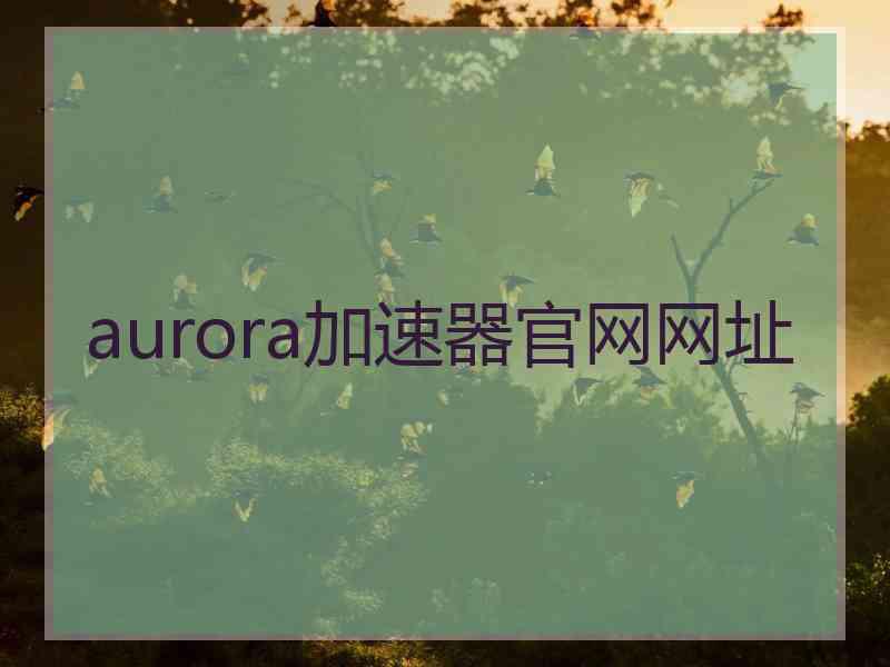 aurora加速器官网网址