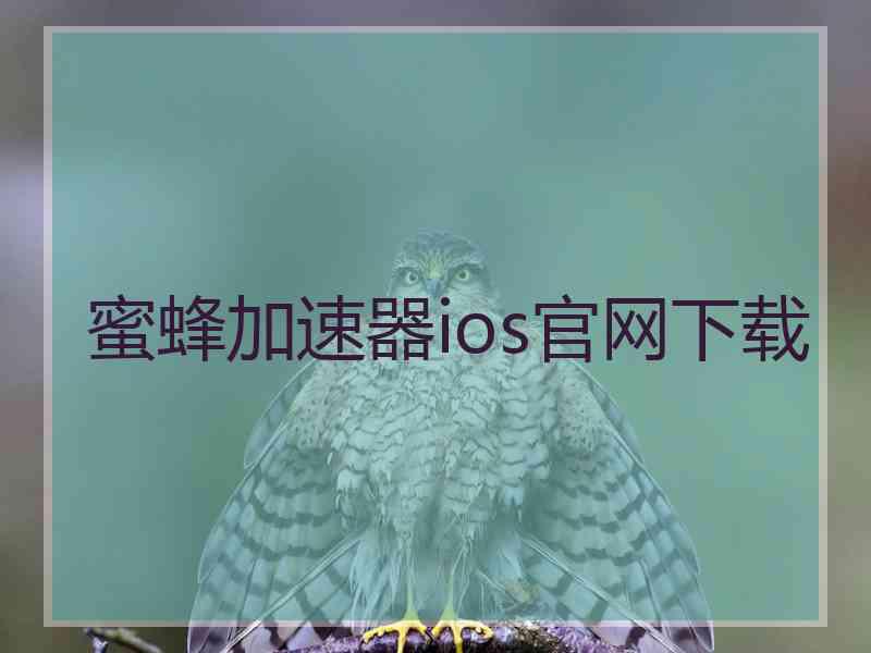 蜜蜂加速器ios官网下载