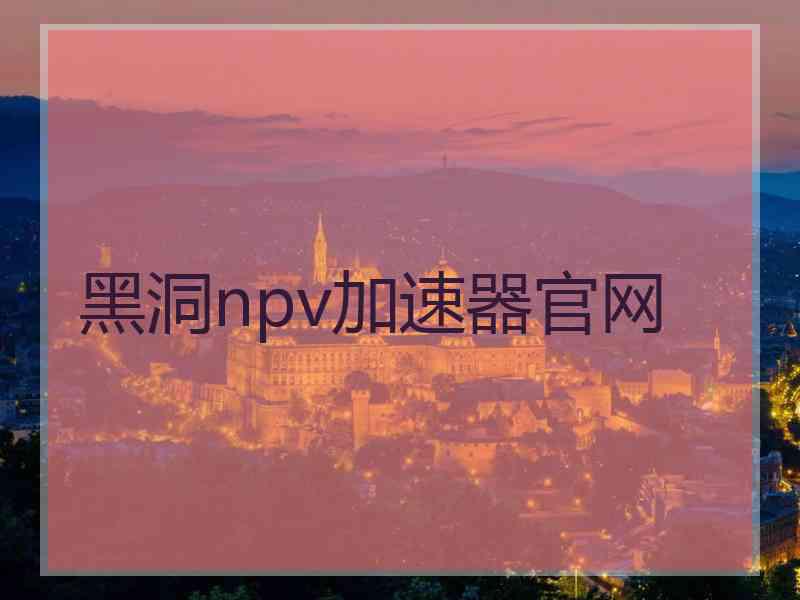 黑洞npv加速器官网