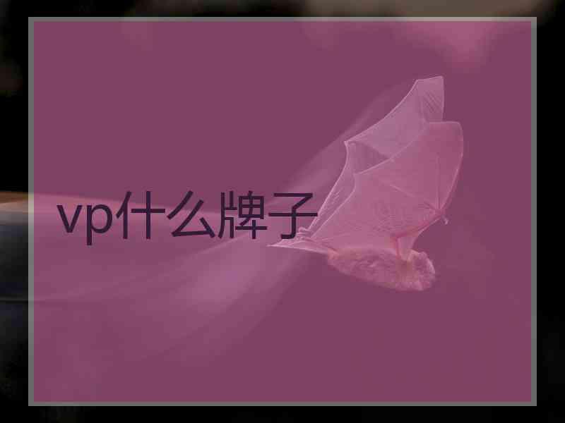 vp什么牌子