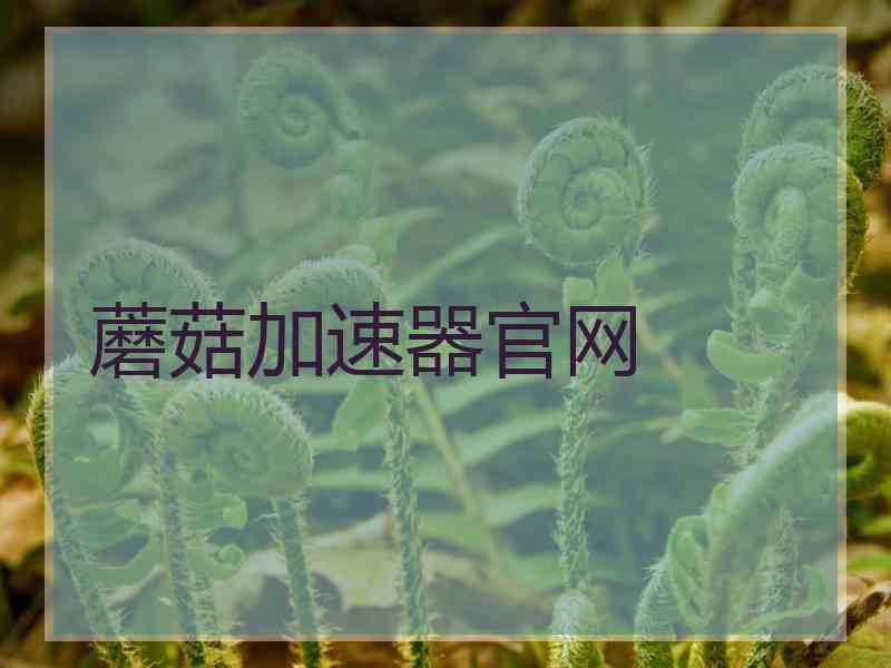 蘑菇加速器官网