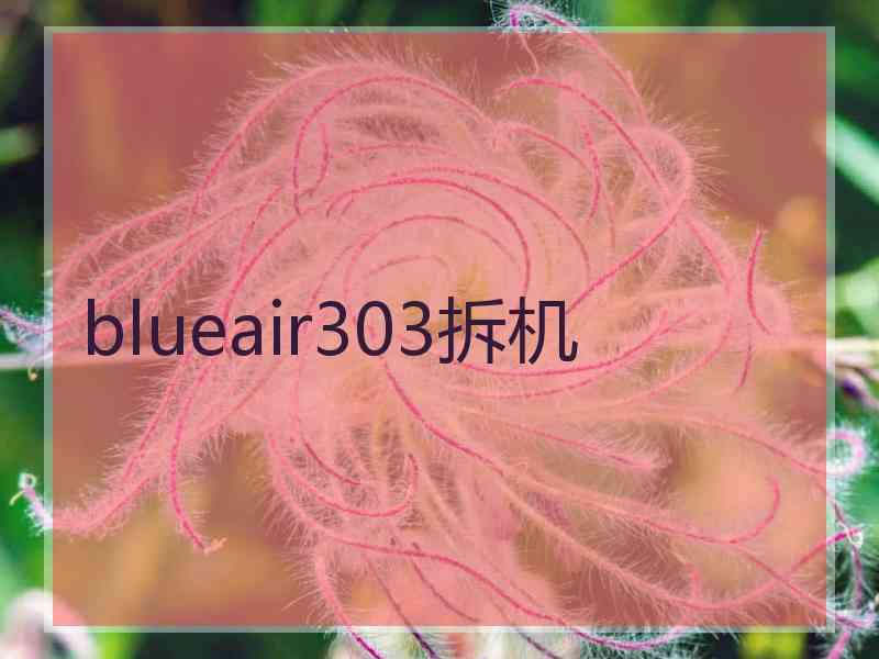 blueair303拆机