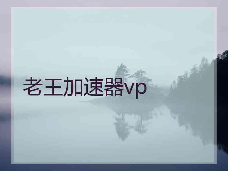 老王加速器vp