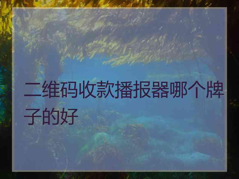 二维码收款播报器哪个牌子的好