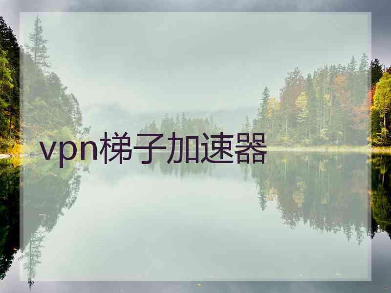 vpn梯子加速器