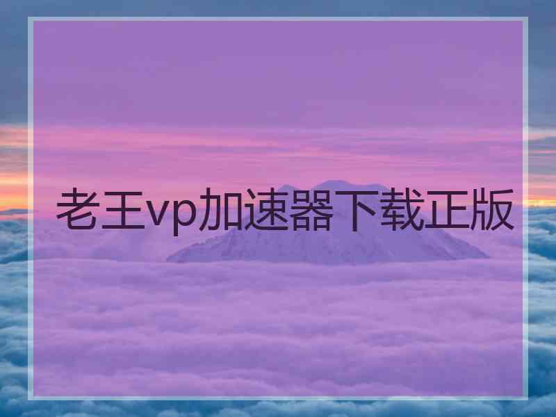 老王vp加速器下载正版