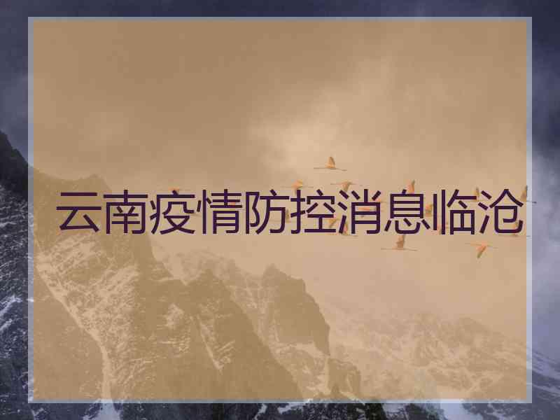 云南疫情防控消息临沧