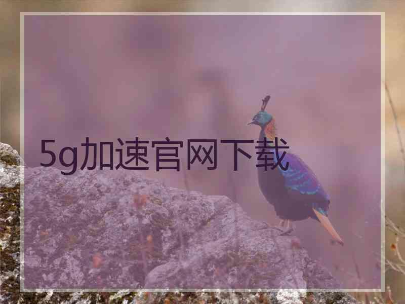 5g加速官网下载