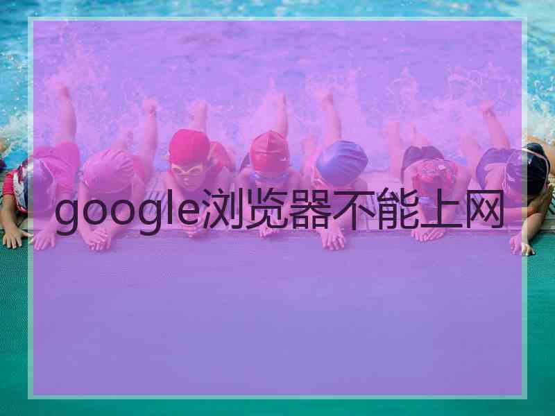 google浏览器不能上网