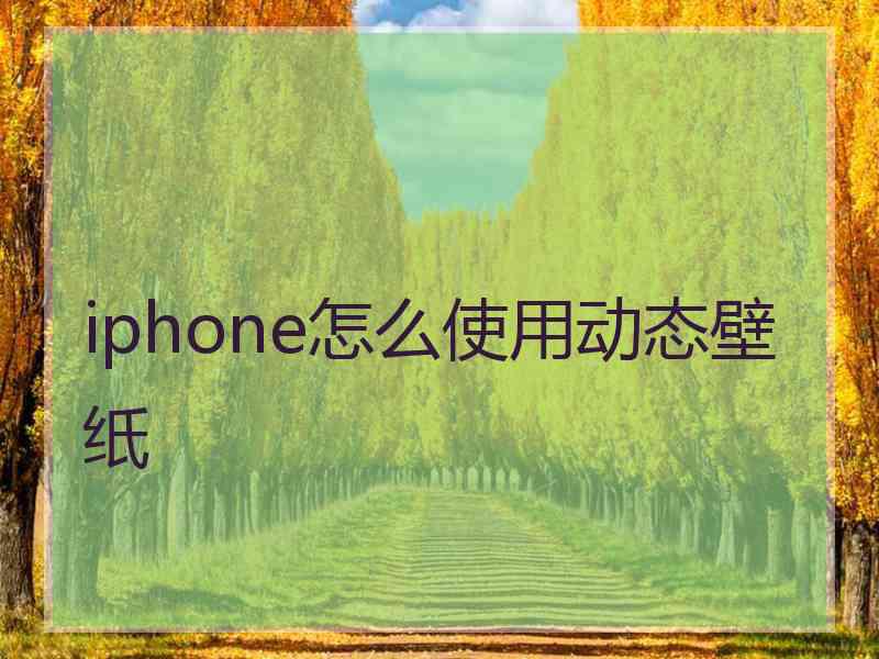 iphone怎么使用动态壁纸