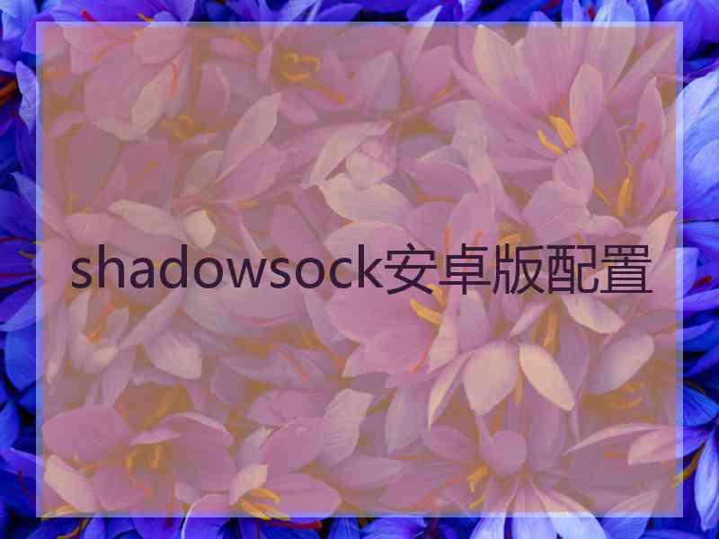 shadowsock安卓版配置