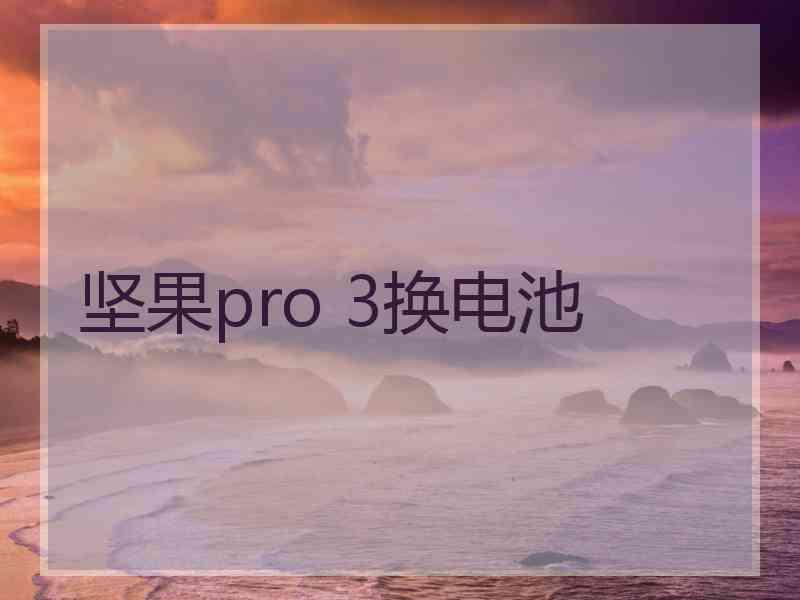 坚果pro 3换电池