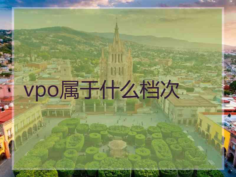 vpo属于什么档次