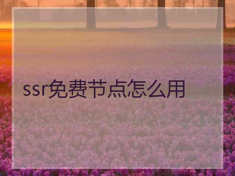 ssr免费节点怎么用