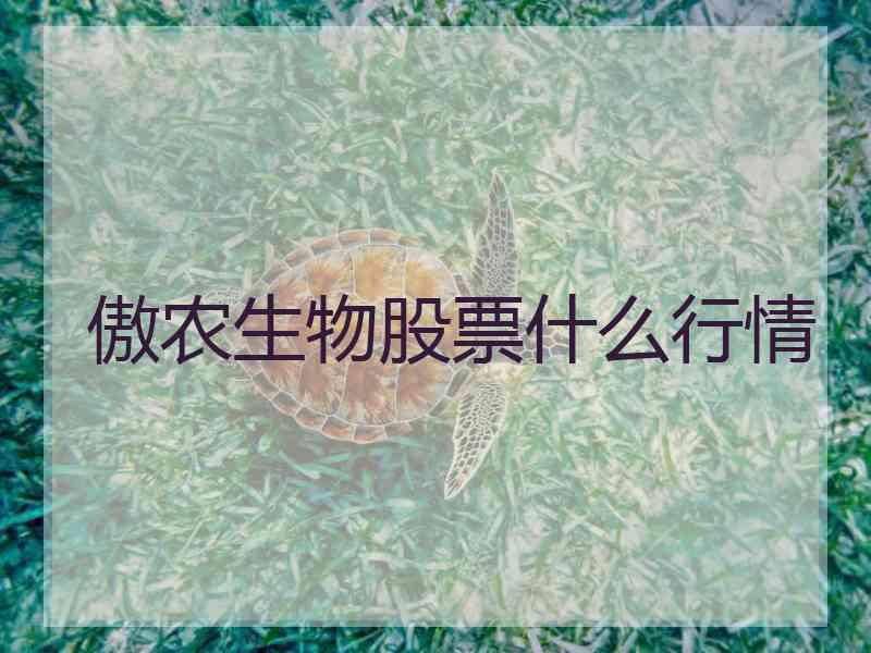 傲农生物股票什么行情