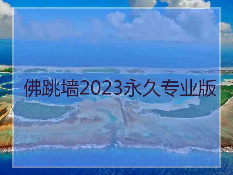 佛跳墙2023永久专业版