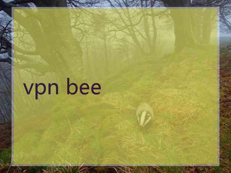 vpn bee