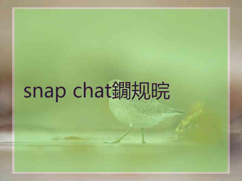 snap chat鐗规晥