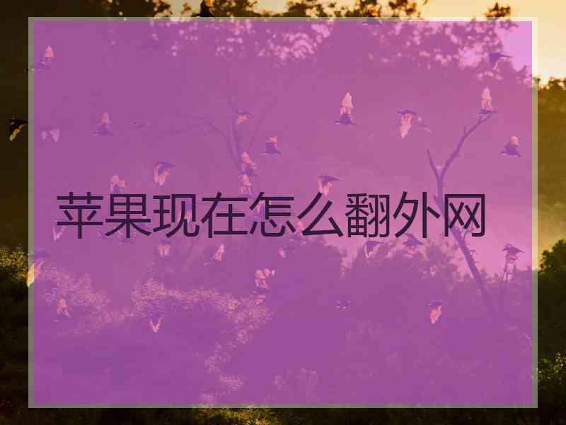 苹果现在怎么翻外网