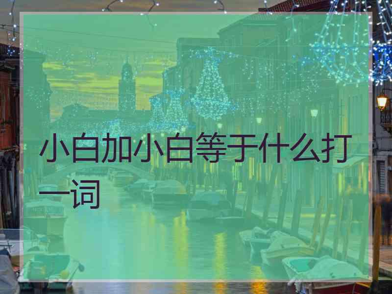 小白加小白等于什么打一词