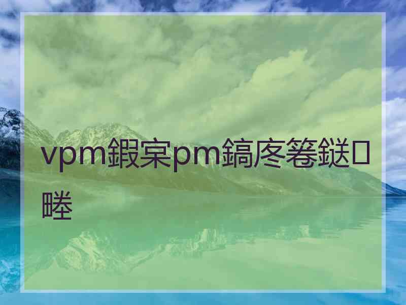 vpm鍜宲pm鎬庝箞鎹㈢畻