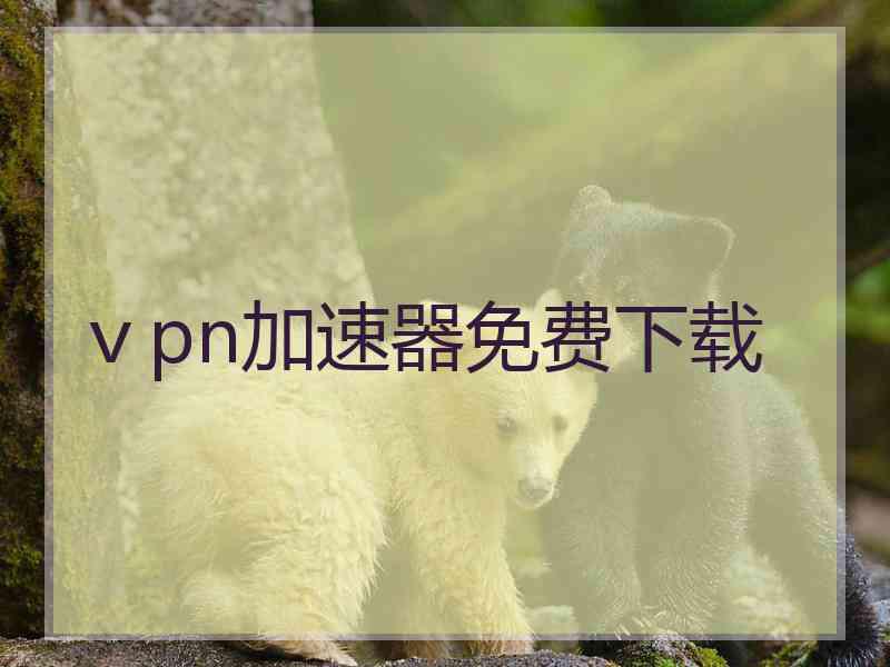 ⅴpn加速器免费下载