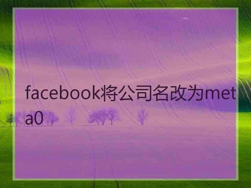 facebook将公司名改为meta0