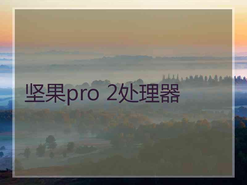 坚果pro 2处理器