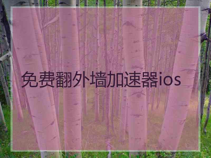 免费翻外墙加速器ios