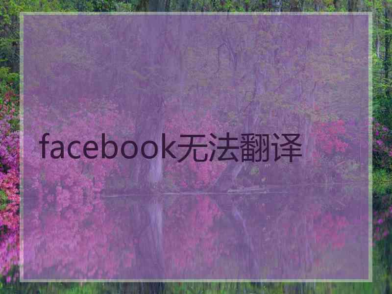 facebook无法翻译