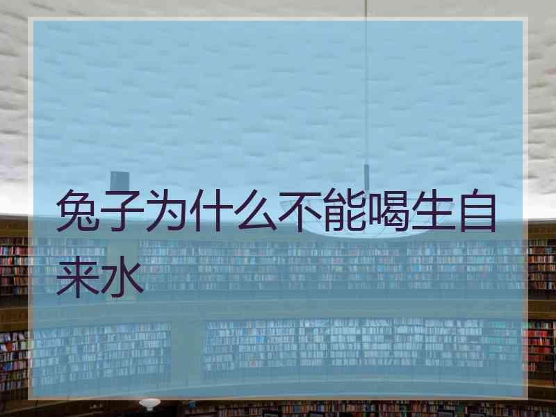 兔子为什么不能喝生自来水