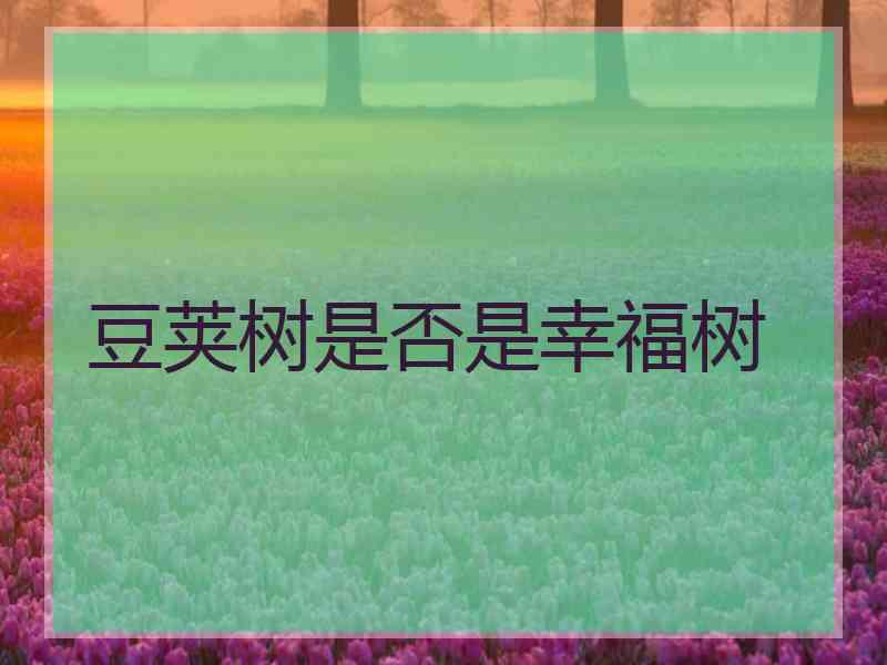 豆荚树是否是幸福树