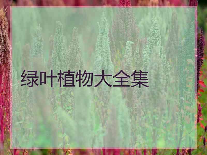 绿叶植物大全集