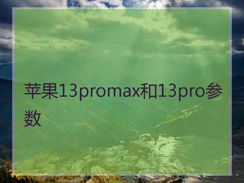 苹果13promax和13pro参数