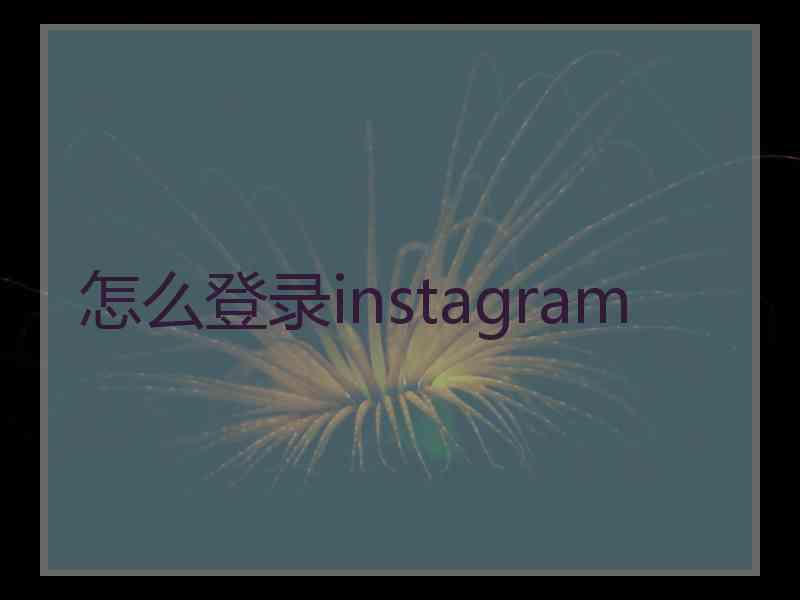 怎么登录instagram