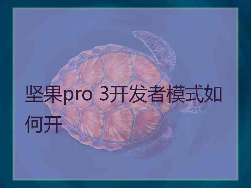 坚果pro 3开发者模式如何开