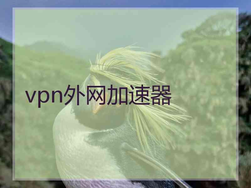 vpn外网加速器