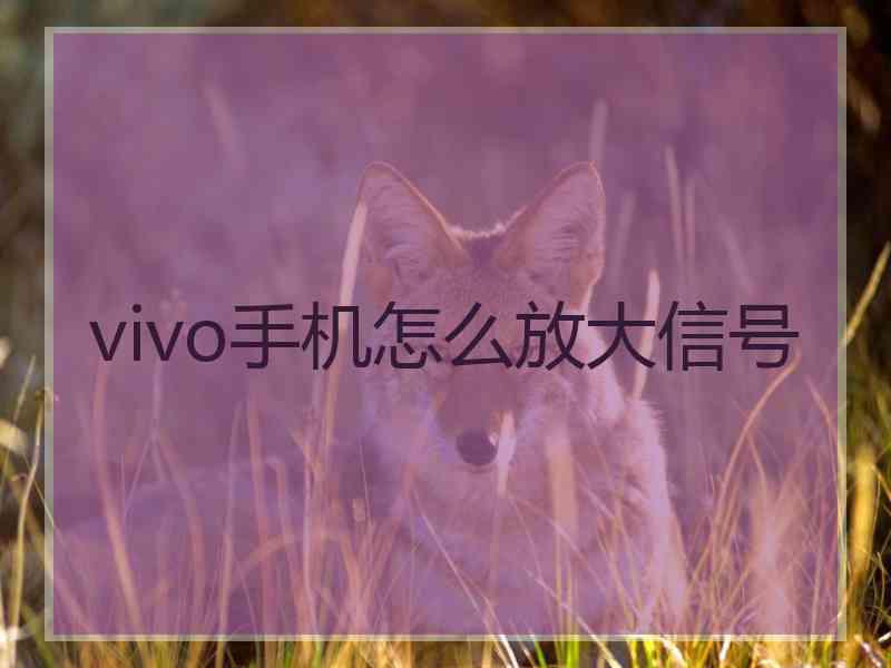 vivo手机怎么放大信号