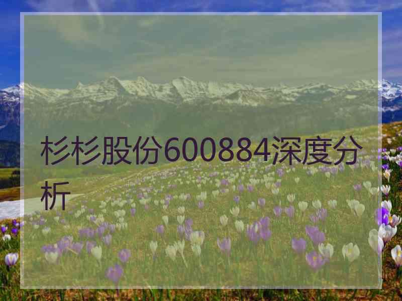 杉杉股份600884深度分析