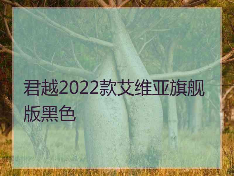 君越2022款艾维亚旗舰版黑色