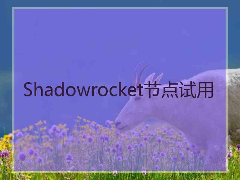 Shadowrocket节点试用